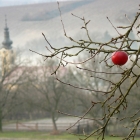fotop_35