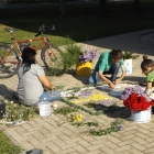 DSCF4443urnap