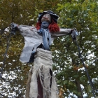 DSCF0797