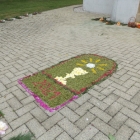 DSCF7956