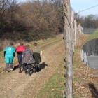 IMG_3590