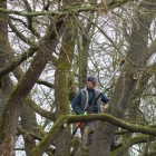 IMG_3962
