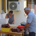 IMG_4457