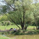 IMG_4461
